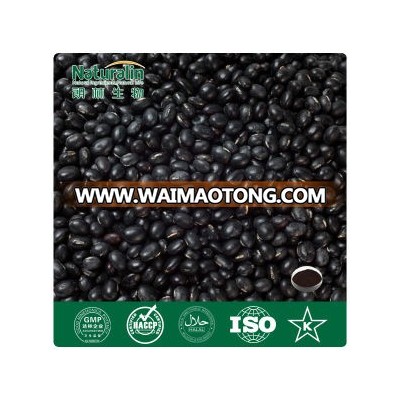 100% Natural Black Bean Extract with High Quality, Botanic Extract for Lower Cholesterol