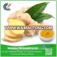 Hot selling Ginger Root Extract with great price