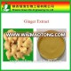 High quality water soluble Fresh Ginger extract powder,Ginger root extract