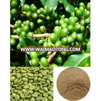 Green Coffee Bean Extract Chlorogenic Acid Total Chlorogenic Acids 10%~70% 98%