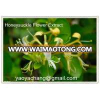 honeysuckle extract (Lonicera Japonica extract;Chlorogenic acid)