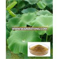 High Quality Weight Loss& Adjust Endocrine Ingredients Lotus Leaf Extract Nuciferine 98%