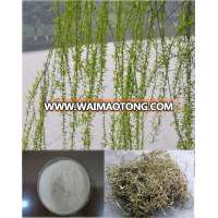 White Willow Bark Extract/salicoside 98%/Salicin Powder OEM Service