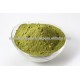 SPRAY DRIED MINT POWDER