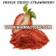 Organic freeze dried strawberry powder / granules / whole