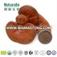 Organic Natural Reishi Mushroom Extract/Ganoderma lucidum Extract Multiple 10%-50% Polysaccharides