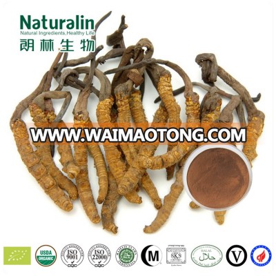 Enhance immunity ingredient Cordyceps Extract with 30% Polysaccharides