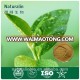 GMP Factory Healthy Green Slimming Tea, green tea powder