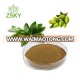 The Olive Leaf Extract with Natural Oleuropein Powder