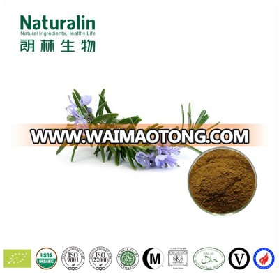 Rosemary Extract 5% Rosmarinic acid