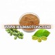 Free Sample Pure Green Coffee Bean Extract Powder