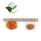 High quality organic cordycepin Extract with 30% polysaccharide