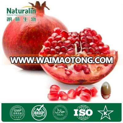 Pure Pomegranate Flower Extract, Pomegranate fruit powder, Pomegranate extract