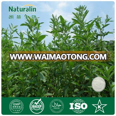 organic stevia extract/100% natural sweetener