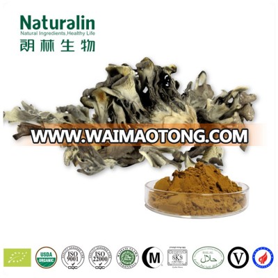 100% Natural Maitake Mushroom Extract Powder  organic Maitake Mushroom Extract