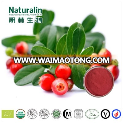 Top quality cranberry extract with raw material from North America