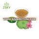 GMP manufacturer Supply high quality Lotus Leaf Extract powder 2% ,10%,50%,10:1,20:1Nuciferine