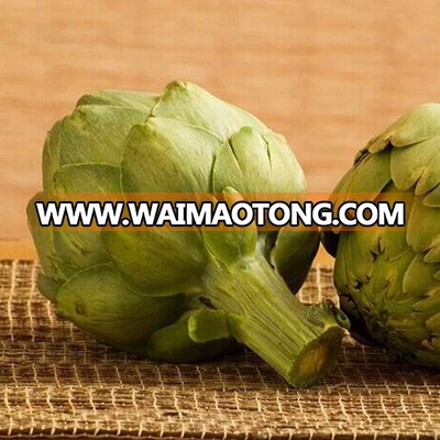 Organic Artichoke extract 5% Cynarin for medicine  artichoke extract