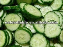 100% Pure Natural Cucumber Juice Powder Dried dehydrated Vegetable Cucumber Powder