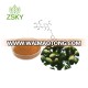 High Quality Olive Leaf Extract with Oleuropein from GMP Factory